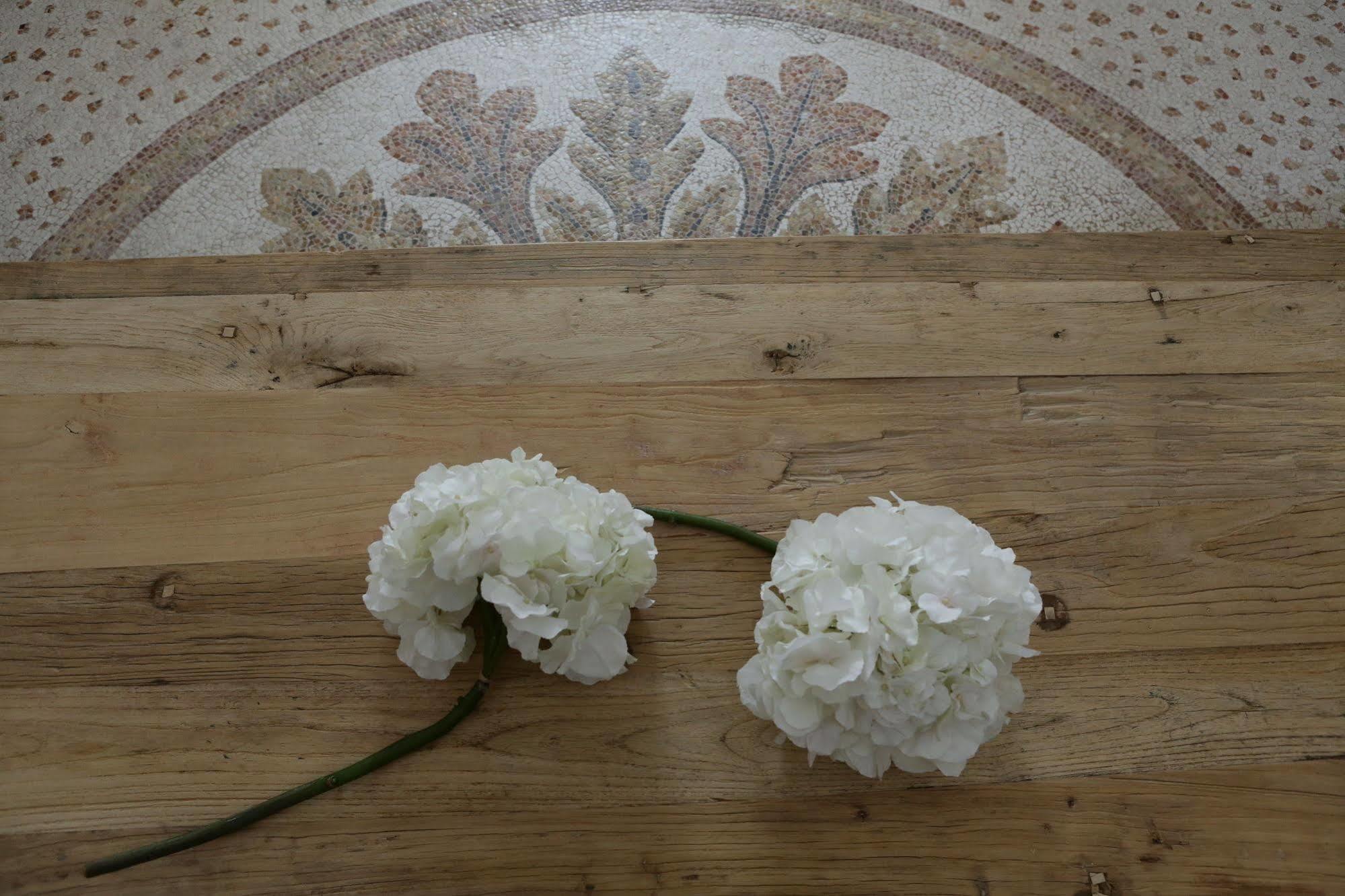 B&B Terra Mar Salve Kültér fotó